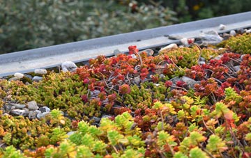 the cost of Swinside Townfoot green roof installation