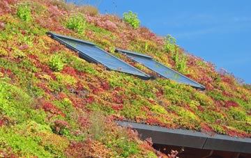 Swinside Townfoot living roof systems